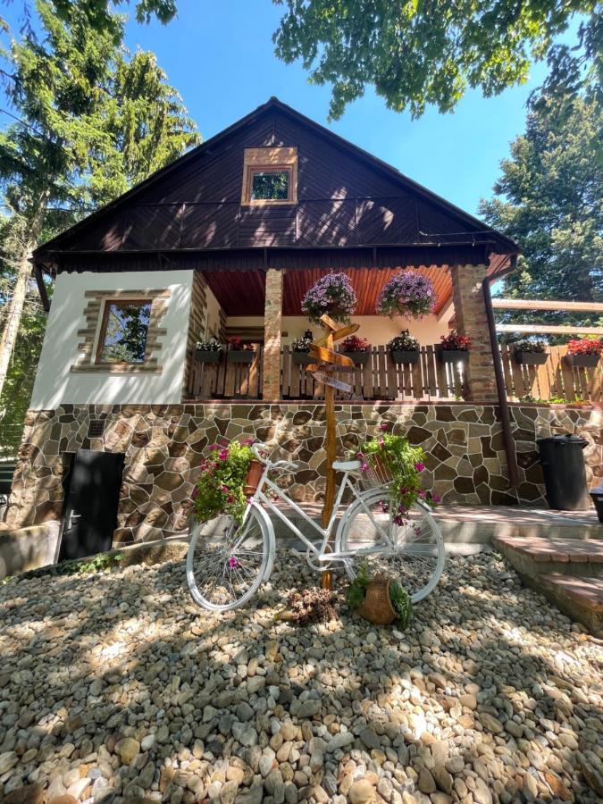 Cityside Cottage Эгер Экстерьер фото